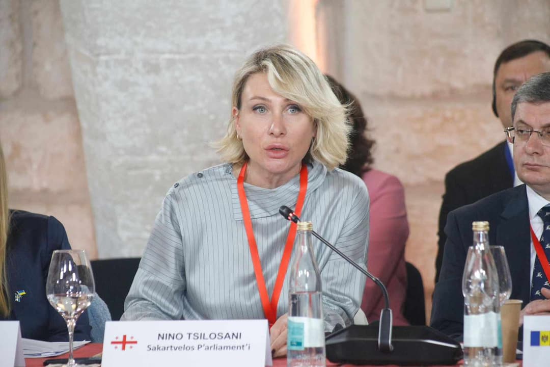 ნინო წილოსანი – საქართველოს გეოგრაფიული მდებარეობა ახალ შესაძლებლობებს ხსნის ევროკავშირისთვის