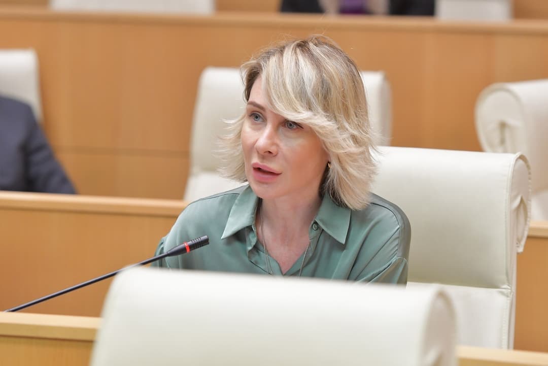 ნინო წილოსანი – არაფერი და ვერაფერი დაადასტურებს რუსულ ექსპანსიას საქართველოში