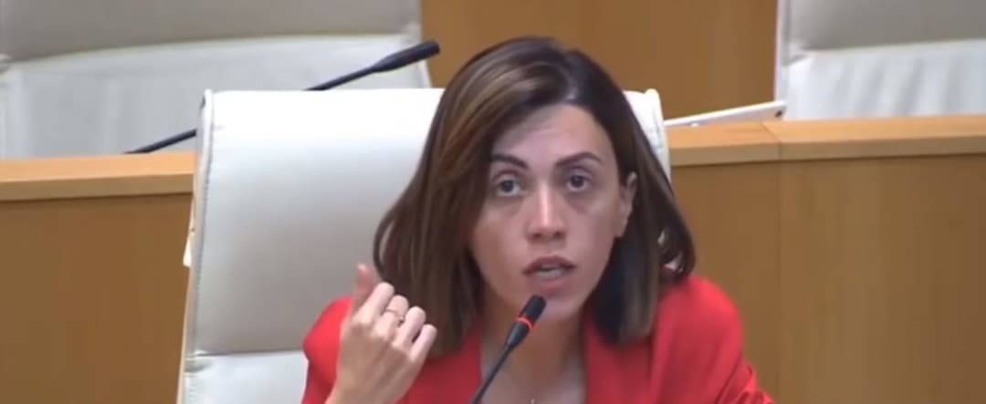 ანა წითლიძე – მე შემიძლია, მხოლოდ წარმატება ვუსურვო, მაგრამ 12 წლის განმავლობაში “ნაციონალური მოძრაობის” კლონობა არ გამოსვლია არავის