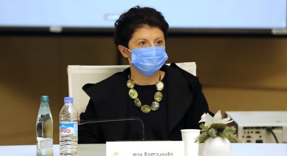 თეა წულუკიანის თანამდებობიდან გათავისუფლების მოთხოვნით პეტიცია შეიქმნა