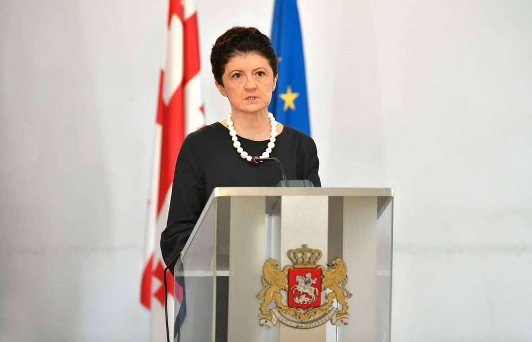 Georgian delegation withdraws from Parliamentary Assembly over “unfair and baseless” conditions