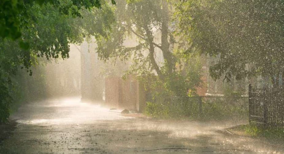 8 მაისამდე მოსალოდნელი ამინდი საქართველოში