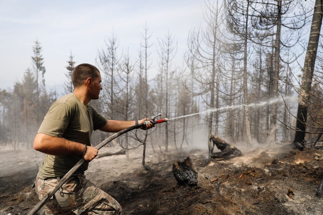 Fire sources still present in Borjomi – Interior Ministry