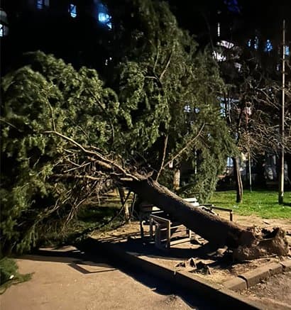 აჭარაში ძლიერმა ქარმა პრობლემები შექმნა