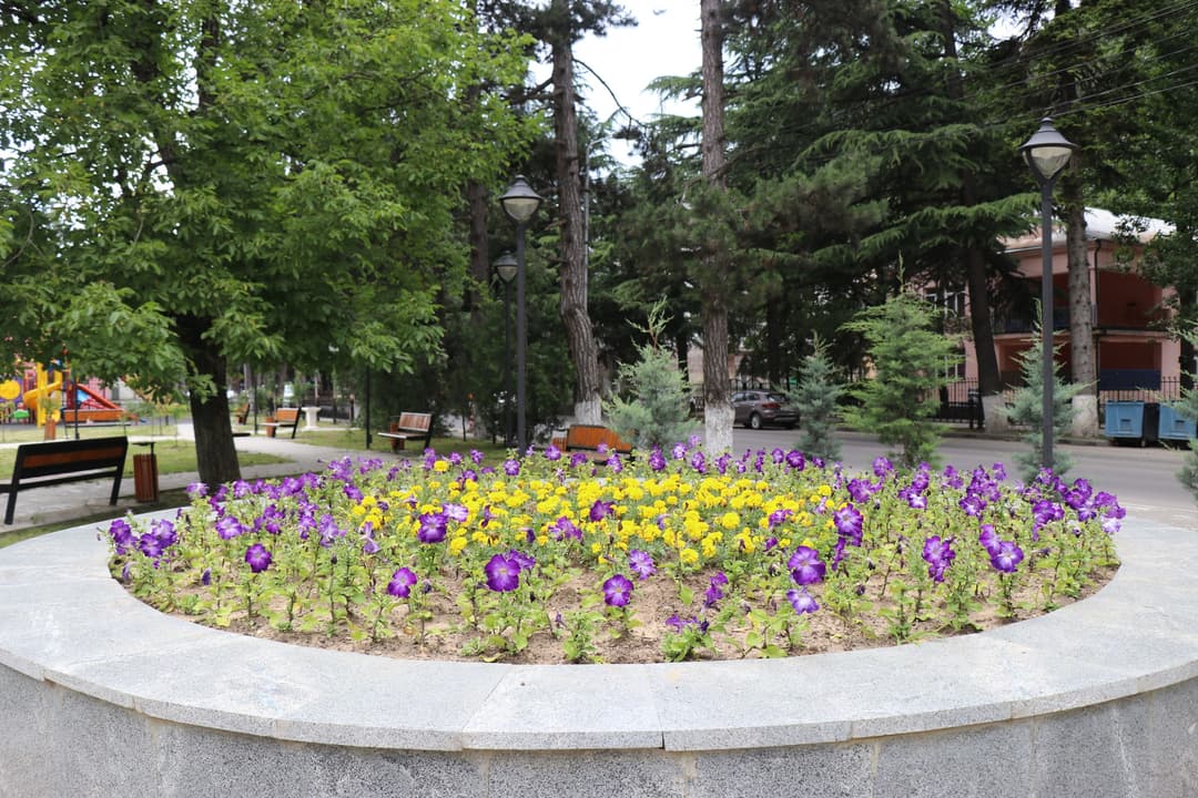 “ბორჯომი გამწვანება–2012”-ის თანამშრომლებმა მთავარ ქუჩებზე არსებულ თარგებში, პარკებსა და სკვერებში ყვავილები დარგეს