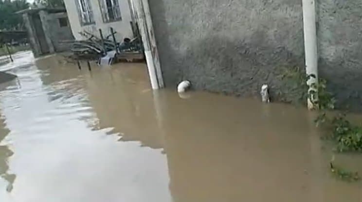 სოფელ გავაზში ადიდებულმა მდინარემ სახლების პირველი სართულები და ვენახები დატბორა