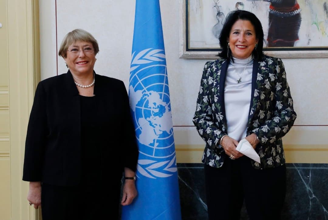 სალომე ზურაბიშვილი მიშელ ბაშელეს შეხვდა