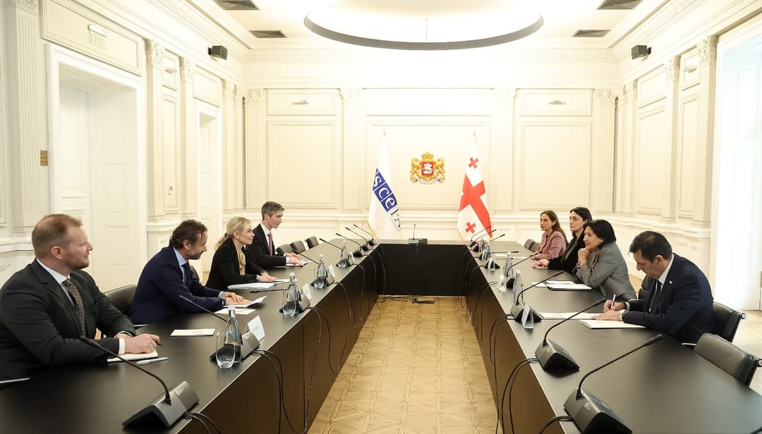 სალომე ზურაბიშვილი ეუთოს საპარლამენტო ასამბლეის დელეგაციას შეხვდა