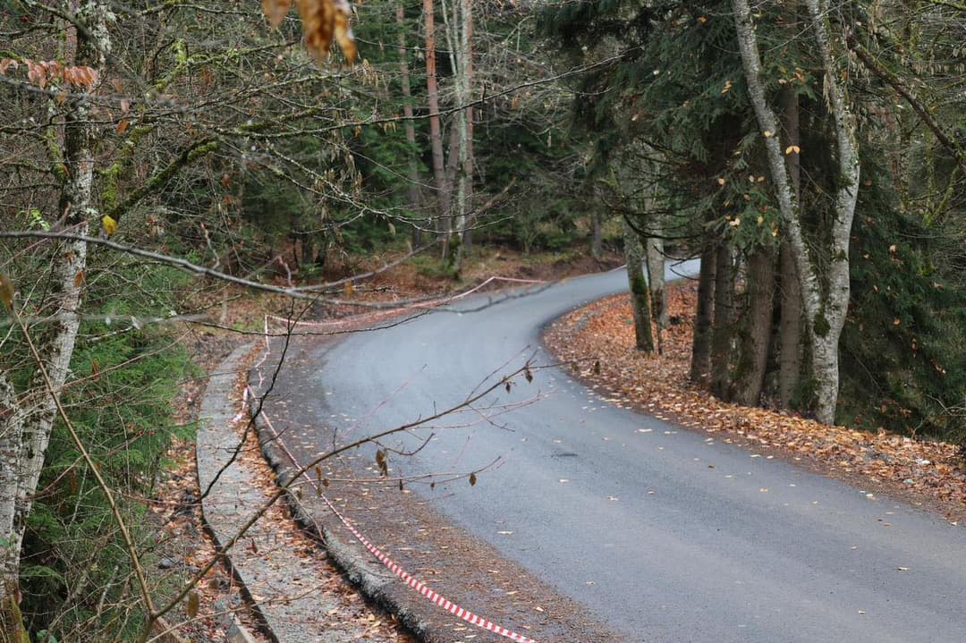 ბორჯომი-ბაღი-ტბა-ცემის გზის 5.5 კმ-იანი მონაკვეთის რეაბილიტაცია აქტიურად მიმდინარეობს