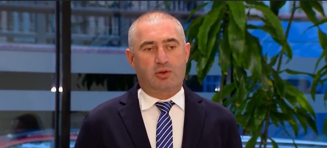 დავით კირთაძე – პრეზიდენტი დეტალებით დაინტერესდა და თვითონაც ბევრი რამ იცოდა