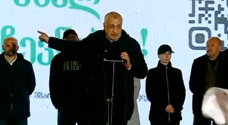 Strong Georgia leader: We will not surrender our country to anyone