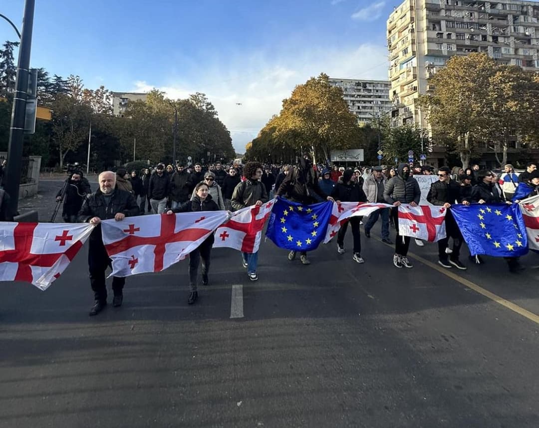 აქციის მონაწილეები მსვლელობას მართავენ