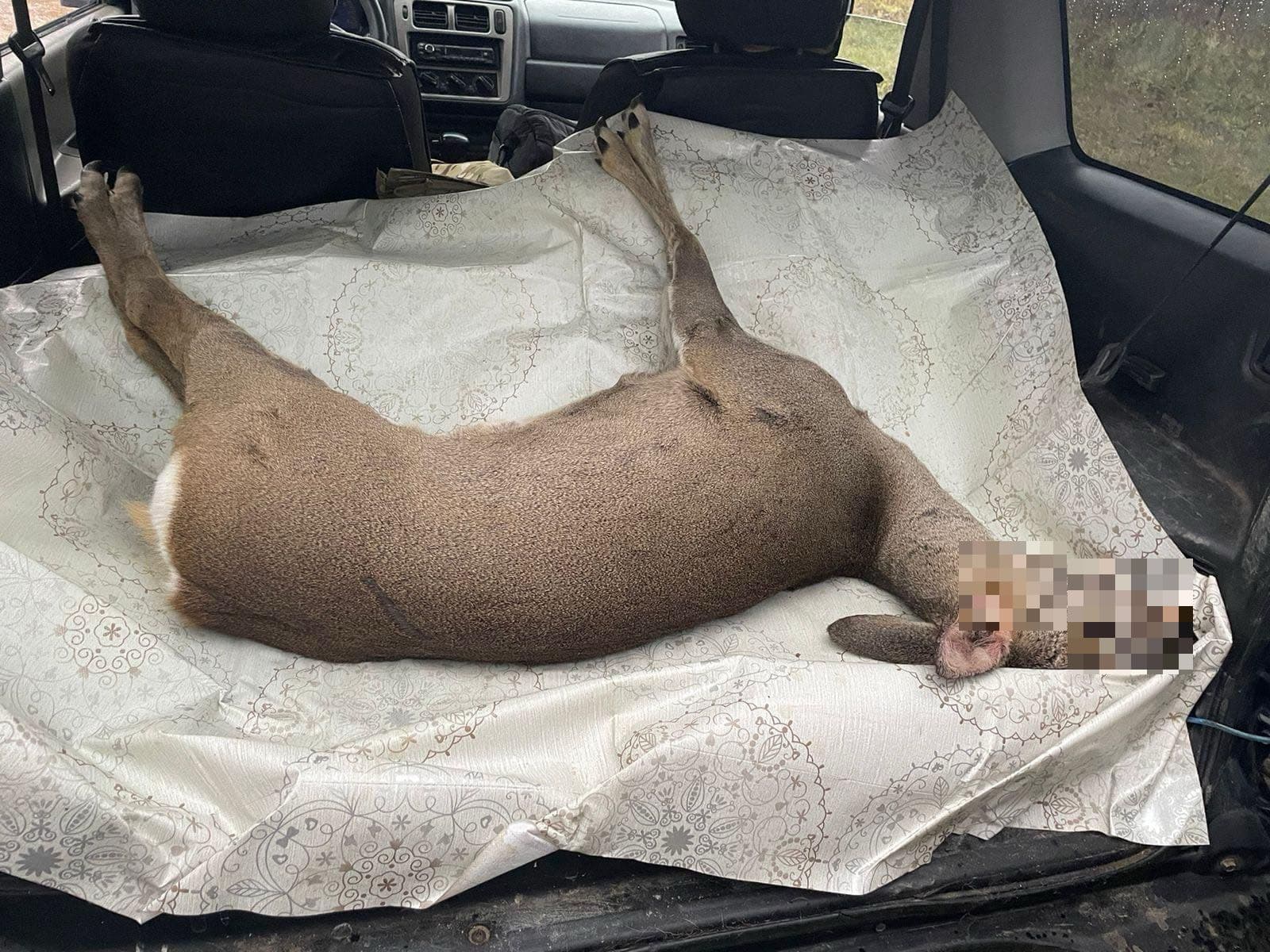 Frontnews image description