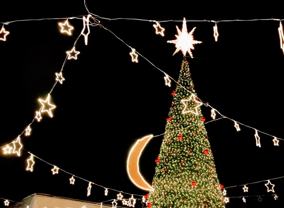 საახალწლოდ განათებული ბორჯომი