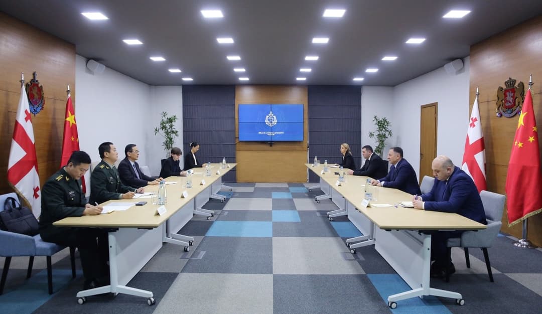 ვახტანგ გომელაური ჩინეთის ელჩს შეხვდა