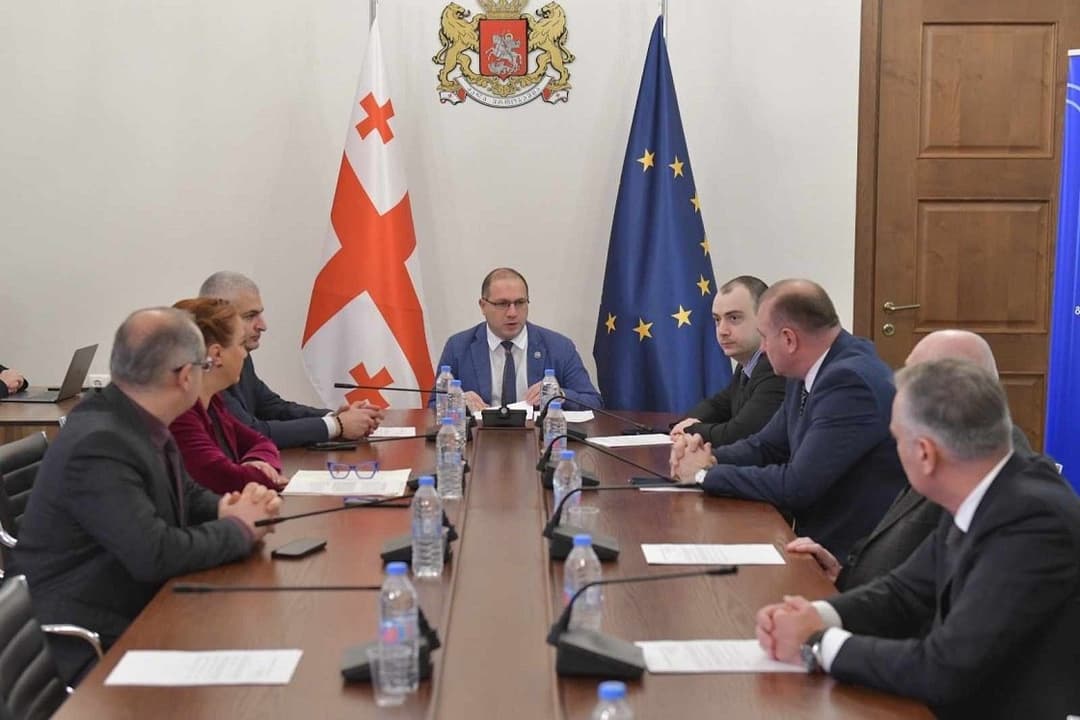 განათლების, მეცნიერებისა და ახალგაზრდულ საქმეთა კომიტეტის თავმჯდომარის მოადგილედ პაატა სალია აირჩიეს