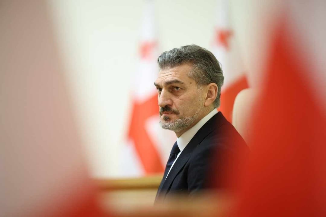 მიხეილ ყაველაშვილი – 2030 წლისთვის ვიქნებით საუკეთესოდ მომზადებული ევროკავშირში გასაწევრიანებლად