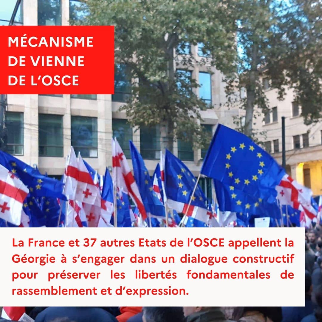 France and 37 OSCE States activate Vienna Mechanism, urge constructive dialogue in Georgia