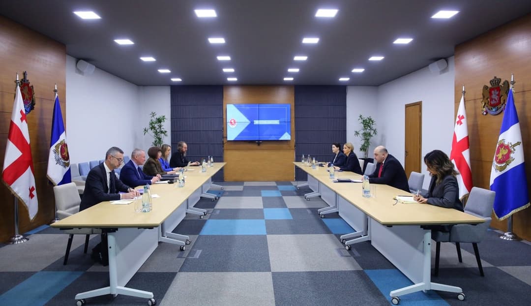 Georgian Deputy Interior Minister, CoE official discuss pro-European protests, Government measures