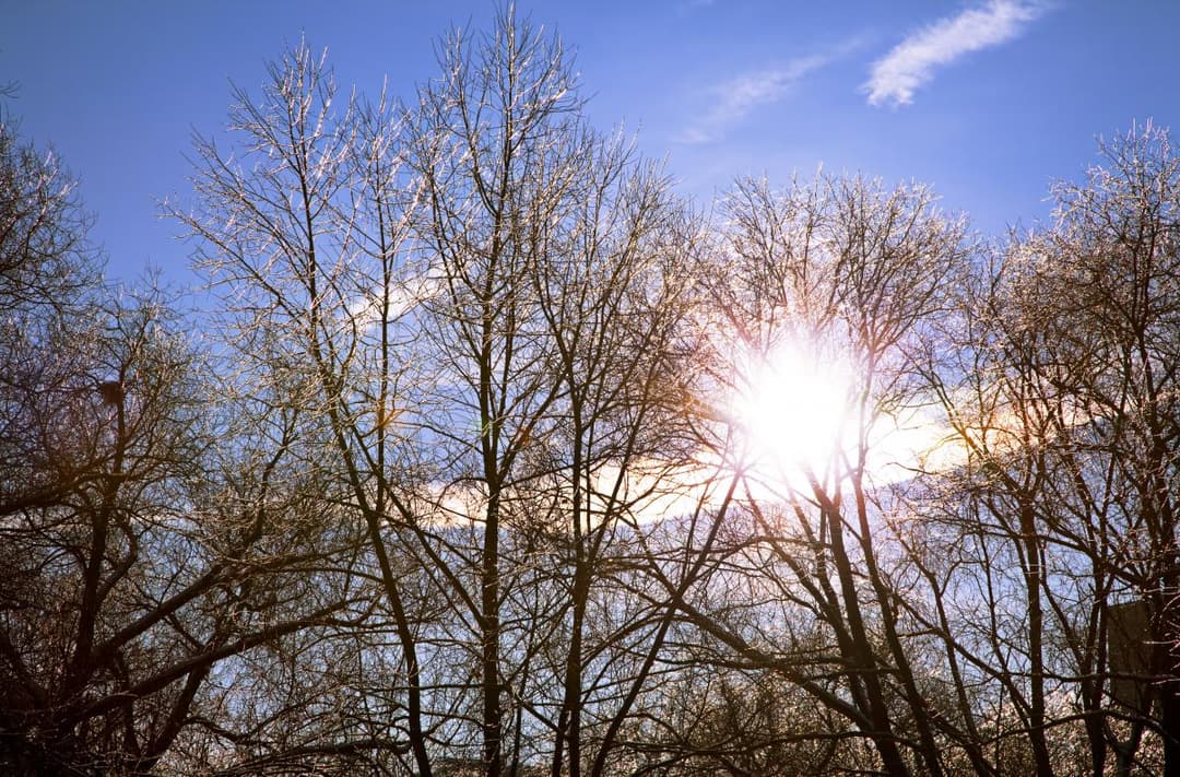 28-31 იანვარს მოსალოდნელი ამინდი საქართველოში