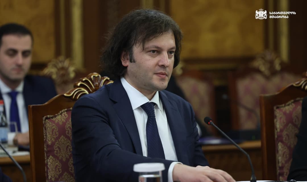 Georgian PM cites ‘deep state’ in doubting AfD’s “pro-Georgia” push in EP