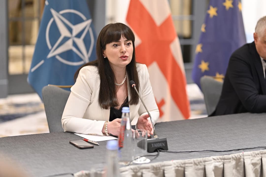 ლანა გალდავა – ბათუმში რაც ხდება, ეს არის სადამსჯელო სპეცოპერაცია ქვეყნის ეროვნული ინტერესების წინააღმდეგ