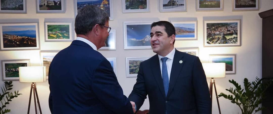 შალვა პაპუაშვილი ევროპის საბჭოს საპარლამენტო ასამბლეის მონიტორინგის დელეგაციას შეხვდა