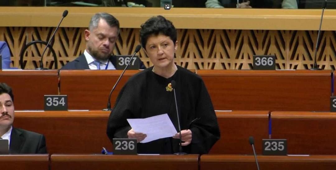 Georgian Delegation Head to PACE rules out early elections before 2028