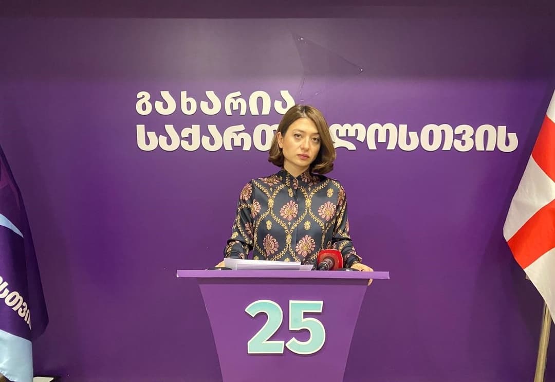 ანა ბუჩუკური – შექმნილ კრიზისულ ვითარებაში კრიტიკულად მნიშვნელოვანია საქართველოს ინტერესების დაცვა საერთაშორისო ასპარეზზე