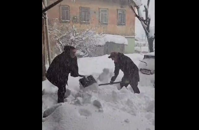 ირაკლი თავდგირიძე – დიდთოვლობასთან გამკლავების ღონისძიებებში მაქსიმუმს აკეთებს მუნიციპალიტეტის ხელმძღვანელობა