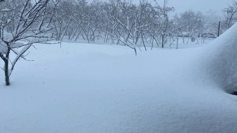 Volunteers rush to aid isolated villages in Georgia’s Guria region amid heavy snowfall