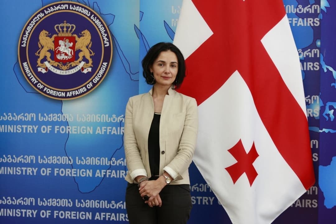 Ex-Georgian Ambassador to France fined for ‘road blockage’ amid protests against halted EU integration