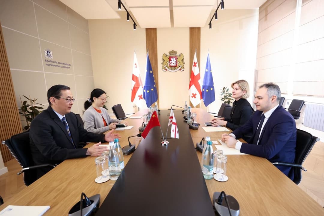 ალექსანდრე წულაძემ ჩინეთის ელჩს უმასპინძლა