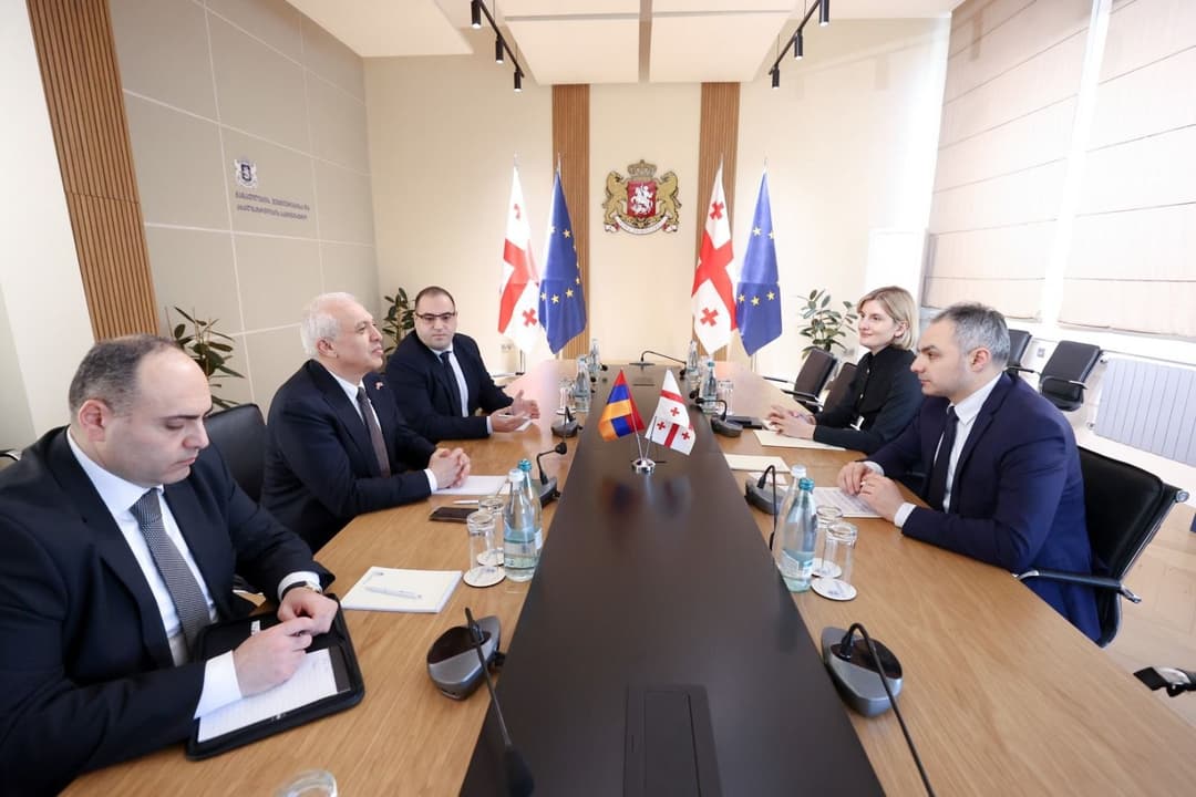 ალექსანდრე წულაძემ საქართველოში სომხეთის ელჩთან სამუშაო შეხვედრა გამართა