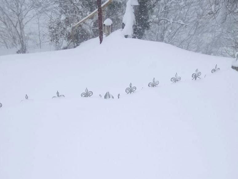 Severe snowfall paralyzes parts of western Georgia, residents demand urgent help