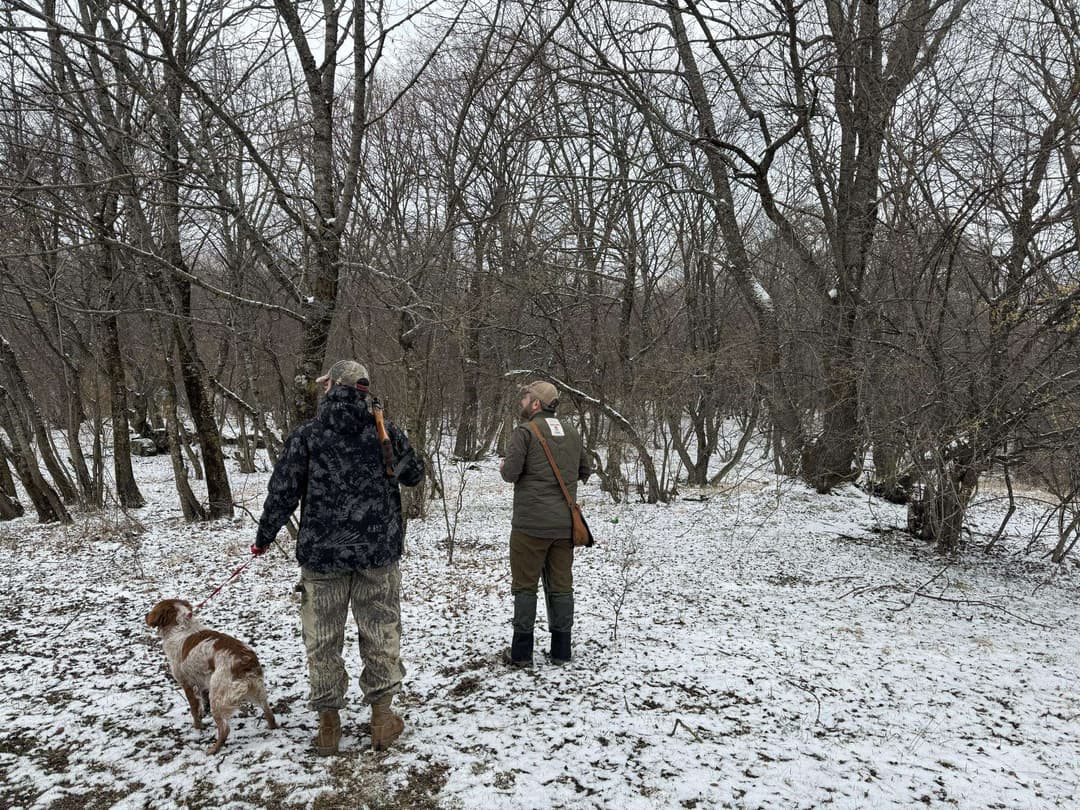 28 თებერვალს გადამფრენ ფრინველებზე ნადირობის სეზონი სრულდება