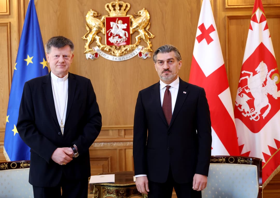 მიხეილ ყაველაშვილმა წმინდა საყდრის დესპანთან გაცნობითი შეხვედრა გამართა