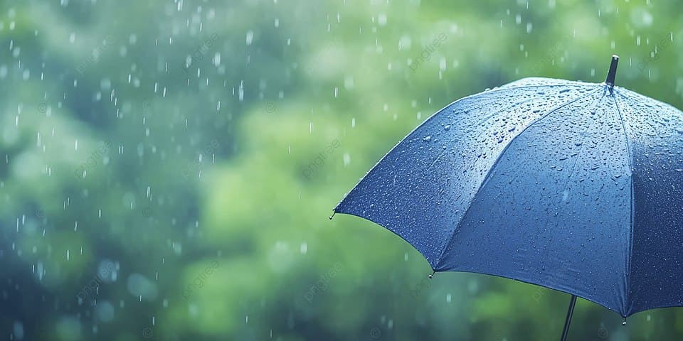 23-25 აპრილს მოსალოდნელი ამინდი საქართველოში