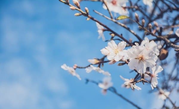 14-16 მარტს მოსალოდნელი ამინდი საქართველოში