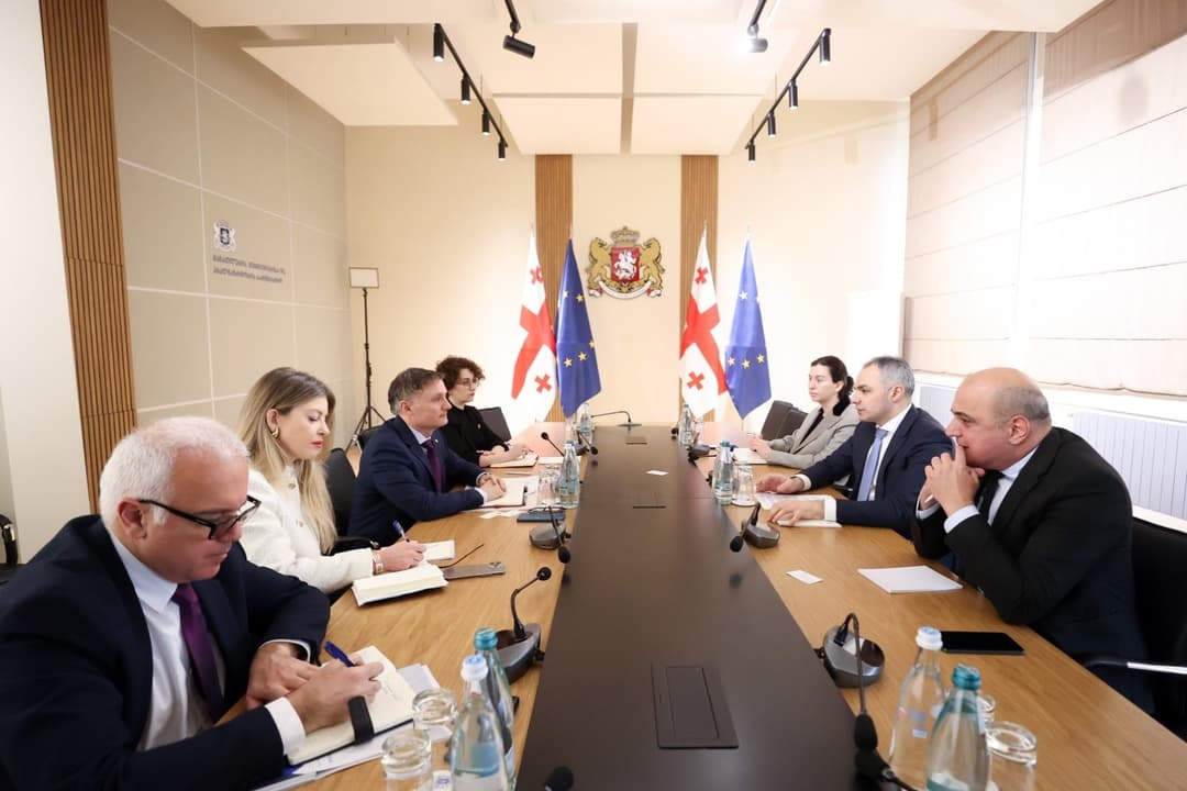 ალექსანდრე წულაძემ გაეროს მუდმივ კოორდინატორს საქართველოში დიდიე ტღებიუკს უმასპინძლა