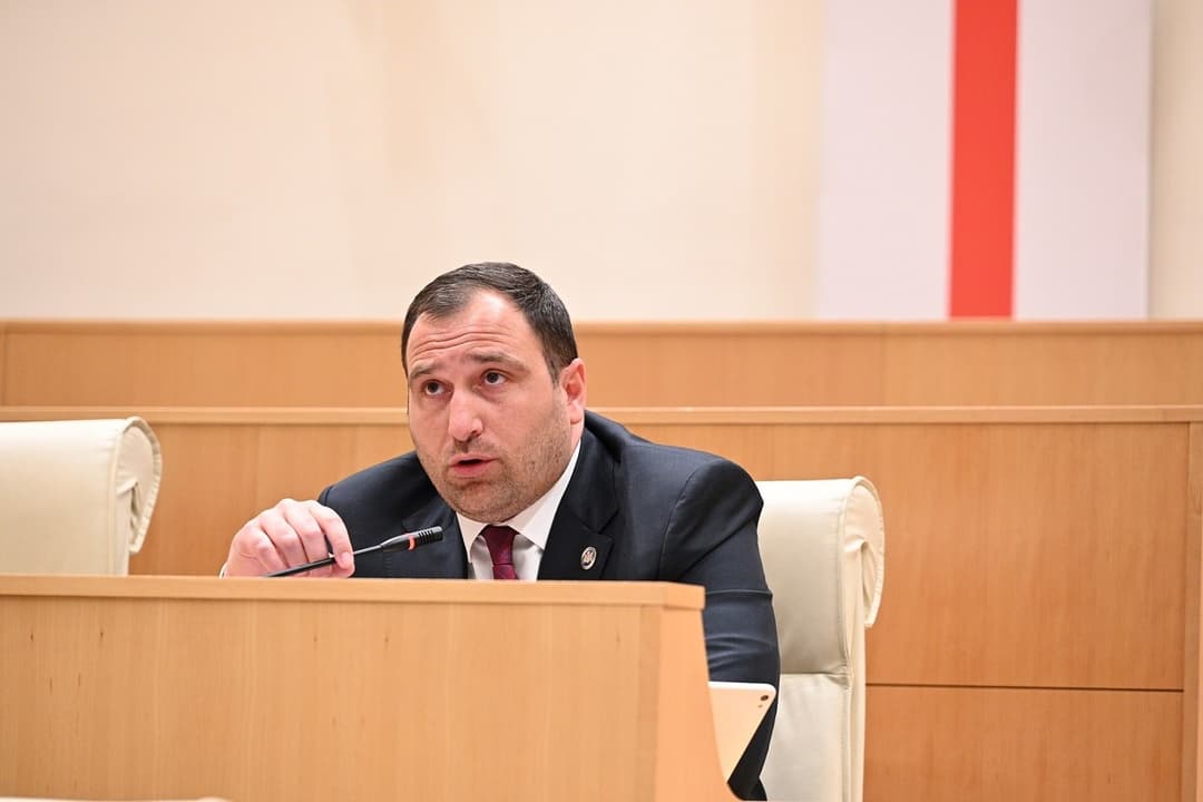 ირაკლი კირცხალია – ჩეხეთის საელჩო გვეუბნება, რომ დიპლომატიური მისია არ წარმოადგენს ჩეხეთის პარლამენტს, ასეთ უტიფრობას, თავხედურ მიდგომებს ვხედავთ