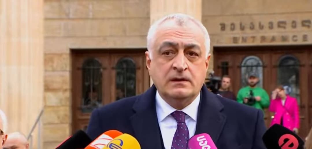 Opposition leader granted ₾50,000 bail in parliamentary inquiry case