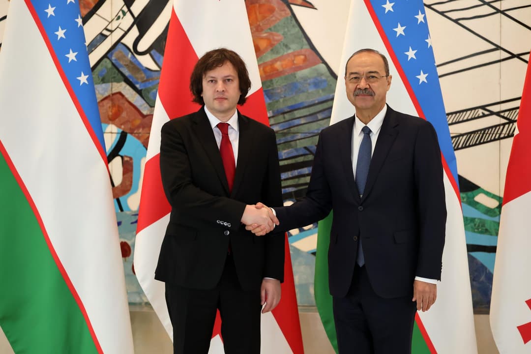 Georgian PM hails ‘fruitful’ talks with Uzbek counterpart