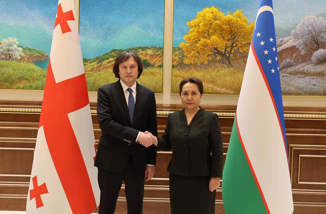 Georgian PM meets with Uzbek Senate Chair Tanzila Narbaeva