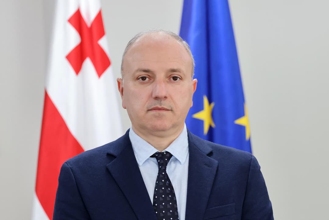 რეგიონული განვითარების მინისტრის მოადგილეებად ლევან ზაუტაშვილი და ზაზა კვიციანი დაინიშნენ