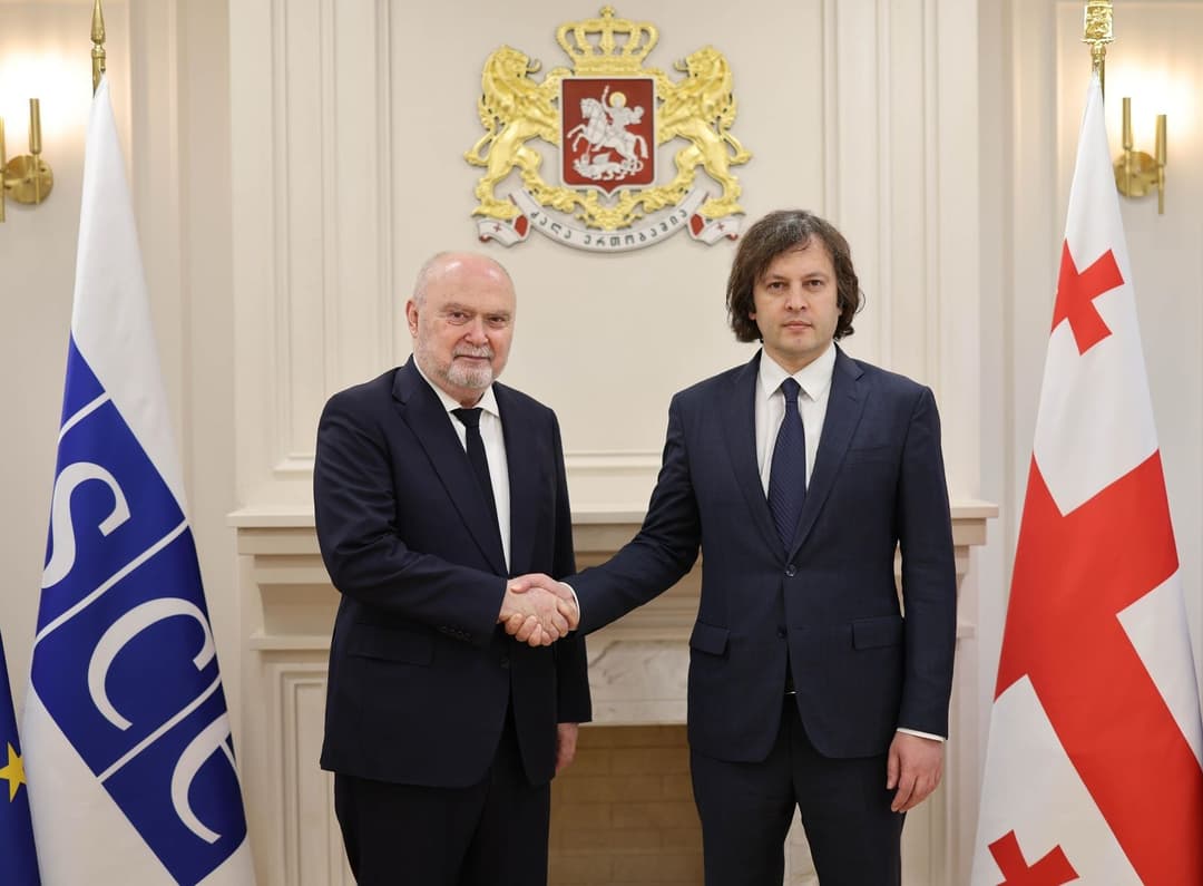 ირაკლი კობახიძე ეუთოს გენერალურ მდივანს შეხვდა