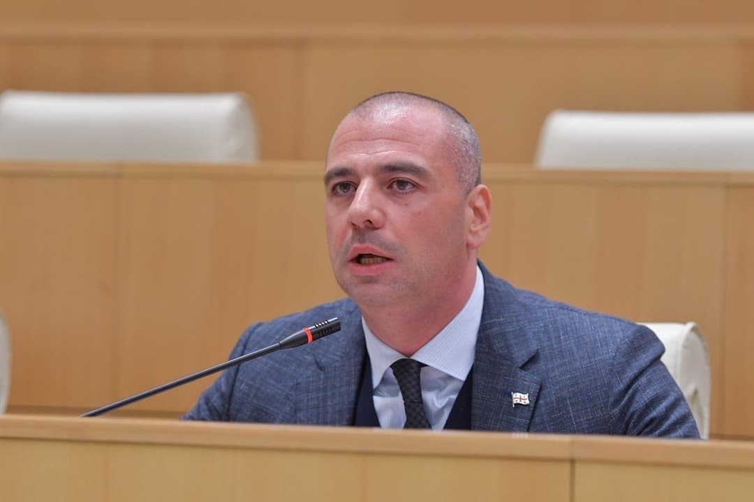 ლევან მაჭავარიანი – გიორგი გახარიამ რეზინის ტყვიების გასროლა სამარცხვინოდ დააბრალა ჩვენს პოლიციელებს