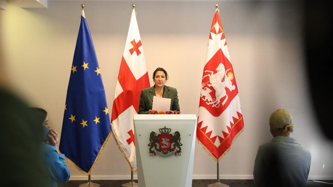 სალომე ზურაბიშვილი – ეს რეპრესიები ყველა მხრივ მაჩვენებელია იმისა, რომ რეჟიმი ვერ უმკლავდება ვითარებას და ამით ცდილობს თავი გაიმყაროს