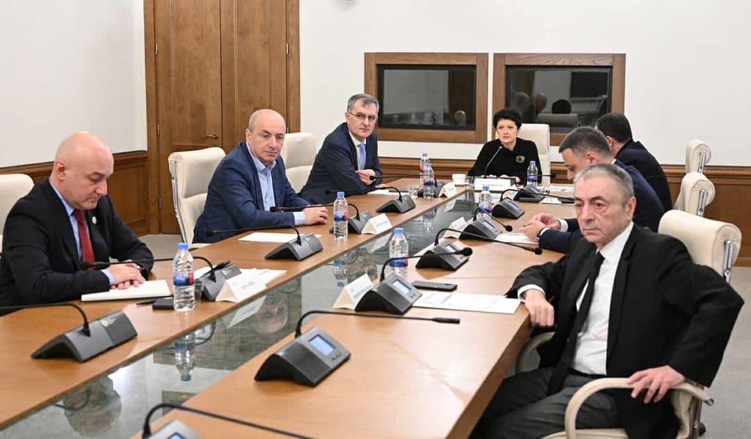 პარლამენტის დროებითმა საგამოძიებო კომისიამ თამაზ მოლაშვილი გამოჰკითხა