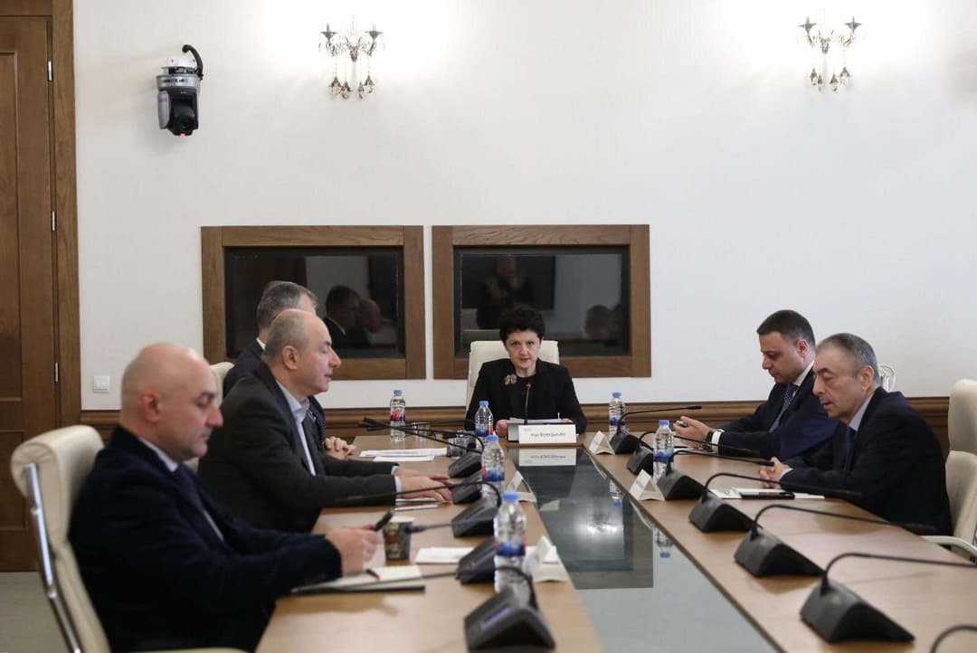 Georgian Vice Parliamnet Speaker urges EU Ambassador to comment on torture case linked to Saakashvili era